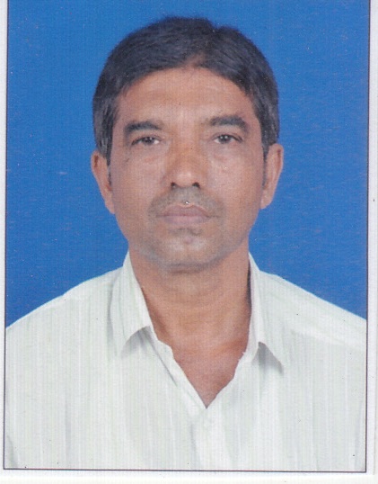 Mr. Dilipbhai Balubhai Naik